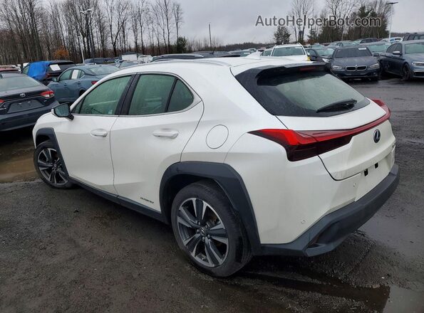 JTHP9JBH0L2024223 2020 LEXUS UX White Trasero izquierdo