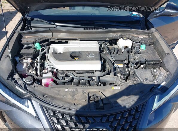JTHP9JBH1P2070410 2023 LEXUS UX 250H Серый Вид сзади