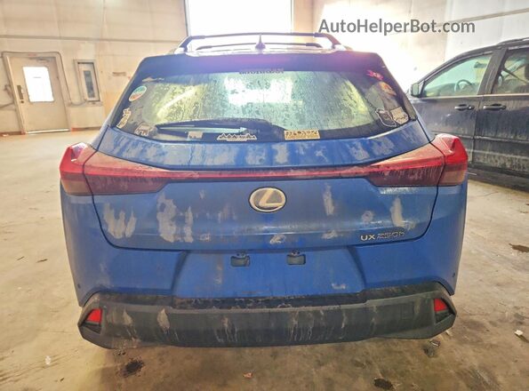 JTHP9JBH2N2061938 2022 LEXUS UX Синий Вид сзади