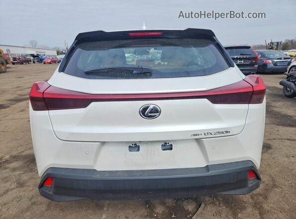 JTHP9JBH2R2074114 2024 LEXUS UX White Vista trasera