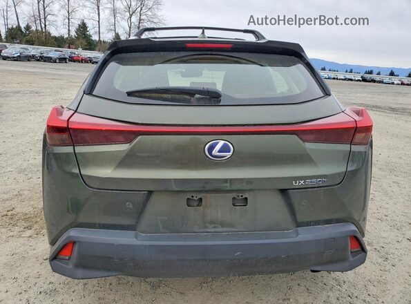 JTHP9JBH5L2033693 2020 LEXUS UX Зеленый Вид сзади