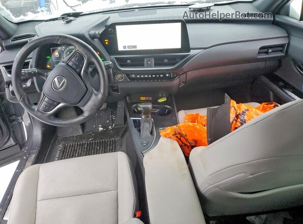 JTHP9JBH6R2079932 2024 LEXUS UX Gray Vista del salpicadero