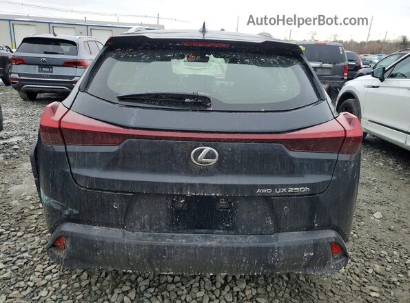 JTHP9JBH7P2065261 2023 LEXUS UX Черный Вид сзади