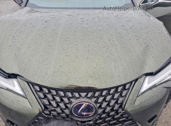 JTHP9JBH8L2031372 2020 LEXUS UX Зеленый Вид подкапотного пространства