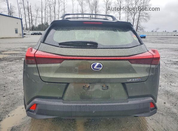 JTHP9JBH8L2031372 2020 LEXUS UX Зеленый Вид сзади