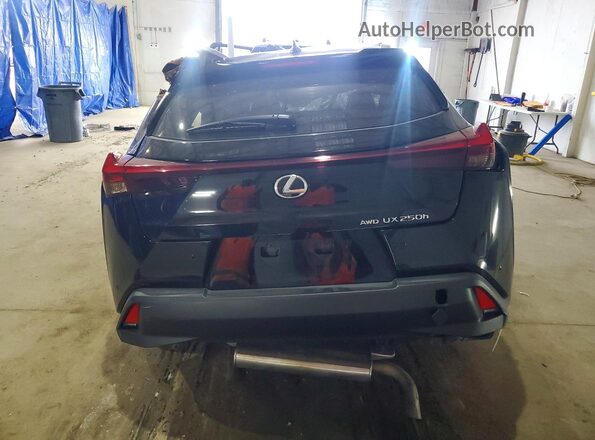 JTHP9JBH9R2078452 2024 LEXUS UX Black Вид ззаду