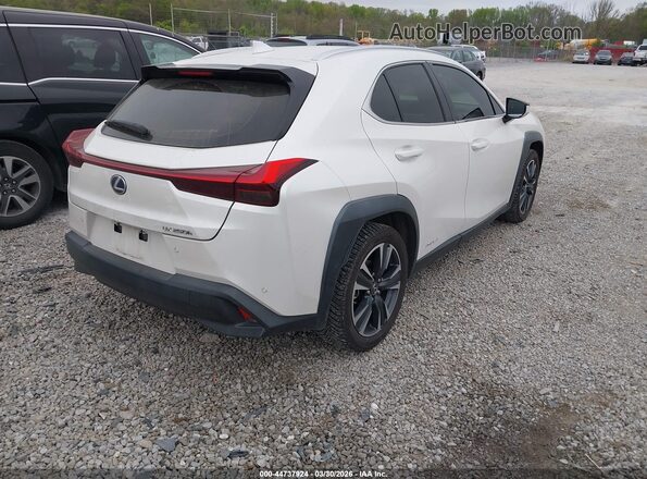 JTHP9JBHXM2040303 2021 LEXUS UX 250H White Trasero derecho
