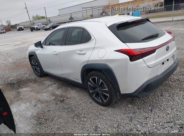 JTHP9JBHXM2040303 2021 LEXUS UX 250H White Trasero izquierdo