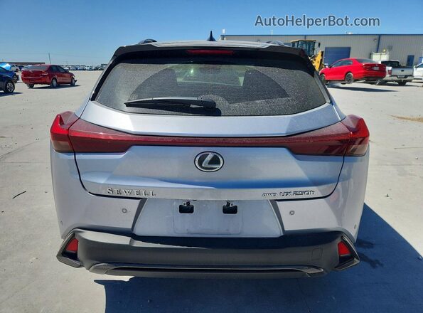 JTHR9JBHXR2079134 2024 LEXUS UX Серебряный Вид сзади