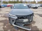 2019 Lexus Ux 250h   Gray vin: JTHU9JBH4K2004915