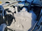 2025 Lexus Ux 300h Base Белый vin: JTHUCJDH0S2008636