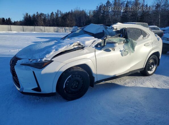 JTHUCJDH0S2008636 2025 LEXUS UX Белый Передняя левая четверть