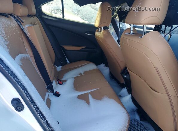 JTHUCJDH0S2008636 2025 LEXUS UX Белый Вид задних сидений