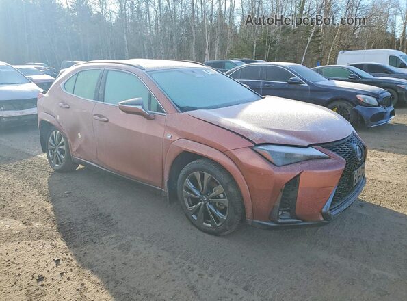 JTHUCJDH3S2003155 2025 LEXUS UX Оранжевый Передняя правая четверть