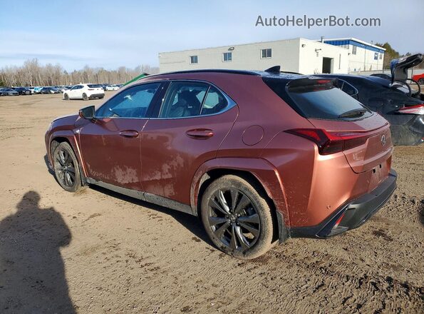 JTHUCJDH3S2003155 2025 LEXUS UX Оранжевый Задняя левая четверть