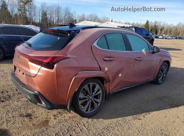 JTHUCJDH3S2003155 2025 LEXUS UX Оранжевый Задняя правая четверть