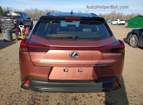 JTHUCJDH3S2003155 2025 LEXUS UX Оранжевый Вид сзади