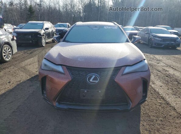 JTHUCJDH3S2003155 2025 LEXUS UX Оранжевый Вид спереди