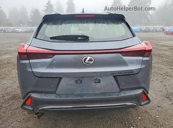 JTHUCJDH6S2012285 2025 LEXUS UX Gray უკანა ხედი