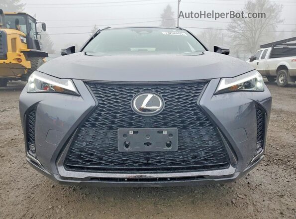 JTHUCJDH6S2012285 2025 LEXUS UX Gray წინა ხედი