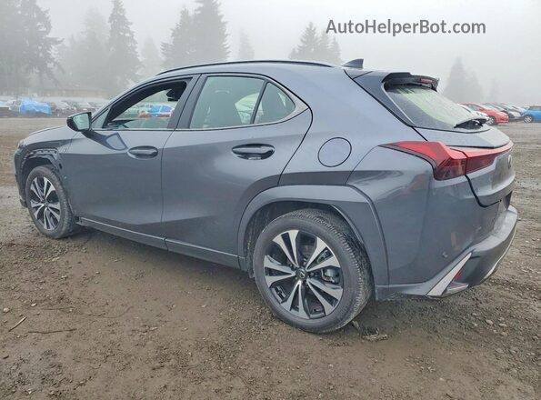 JTHUCJDH6S2012285 2025 LEXUS UX Gray უკანა მარცხენა