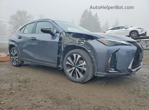 JTHUCJDH6S2012285 2025 LEXUS UX Gray წინა მარჯვენა