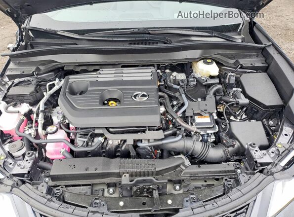 JTHUCJDH6S2012285 2025 LEXUS UX Gray უკანა სალონის ხედი