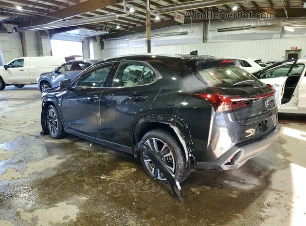 JTHUCJDH9S2012183 2025 LEXUS UX Black Задня ліва чверть