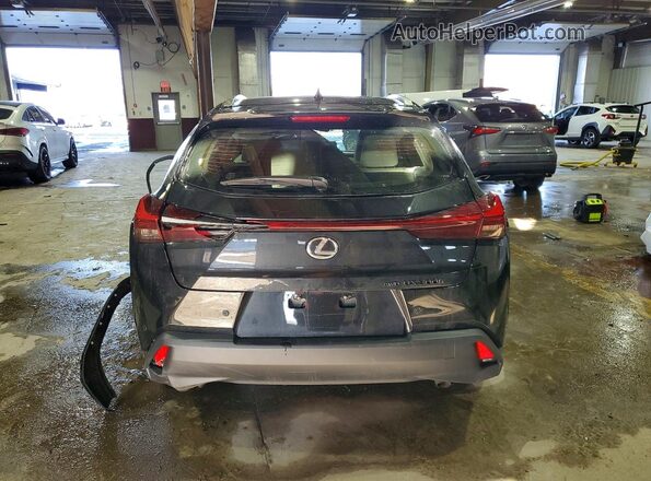 JTHUCJDH9S2012183 2025 LEXUS UX Black Вид ззаду