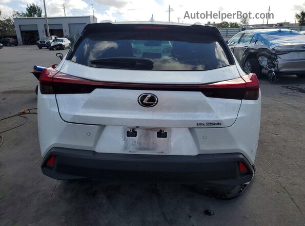 JTHX6JBH6P2148432 2023 LEXUS UX Белый Вид сзади