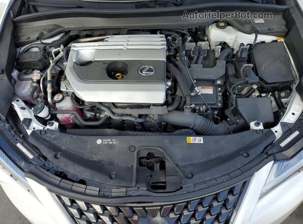 JTHX6JBH6P2148432 2023 LEXUS UX Белый Вид задней части салона