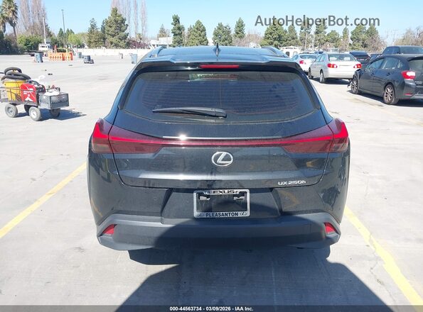 JTHX6JBH6R2187833 2024 LEXUS UX 250H Черный 