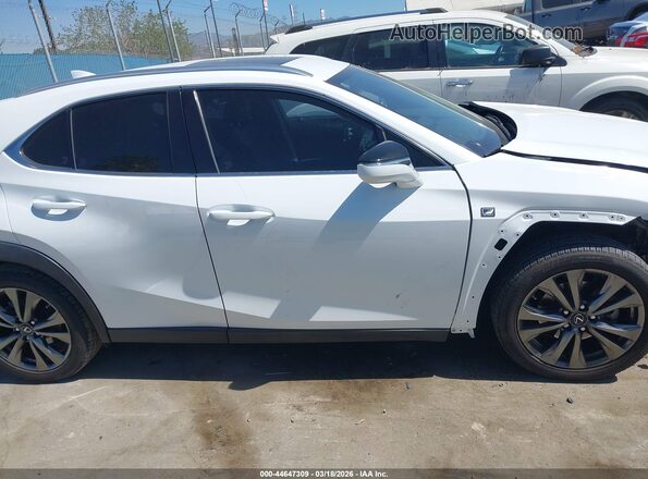 JTHY3JBH1K2006480 2019 LEXUS UX 200 White Rear interior view