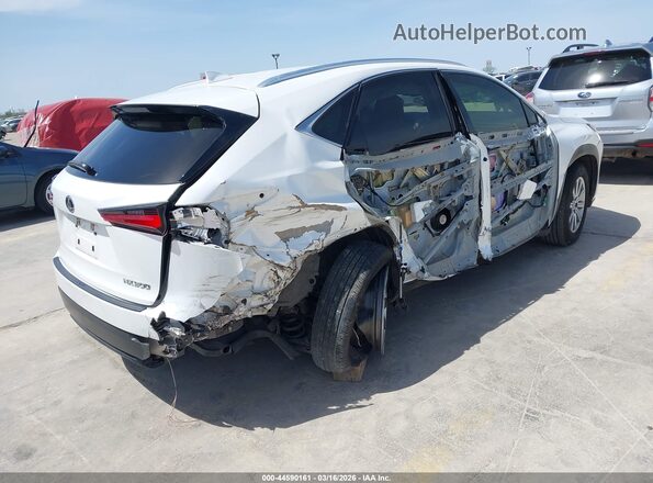 JTJAARBZ9L5020172 2020 LEXUS NX 300 White Rear right