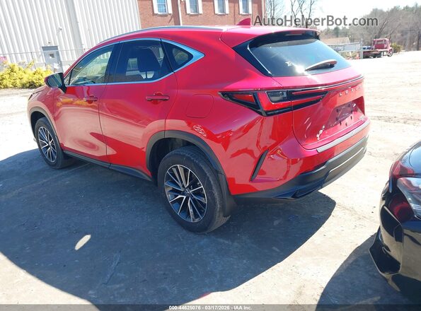 JTJADCEZ7P2002552 2023 LEXUS NX 250 Красный Задняя левая четверть