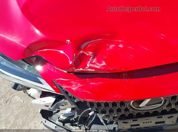 JTJADCEZ7P2002552 2023 LEXUS NX 250 Красный Вид спереди