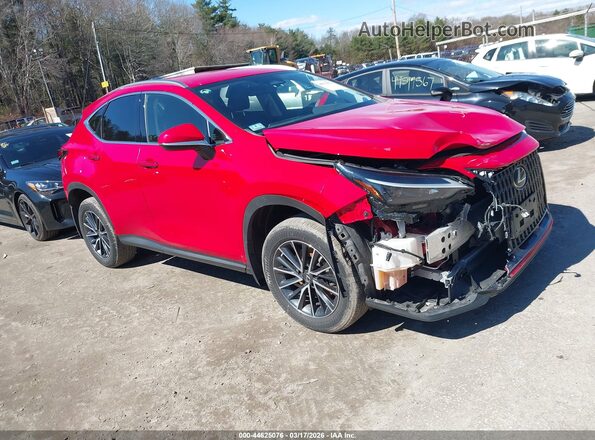 JTJADCEZ7P2002552 2023 LEXUS NX 250 Красный Передняя правая четверть
