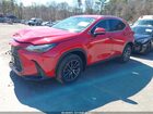 2023 Lexus Nx 250   Красный vin: JTJADCEZ7P2002552
