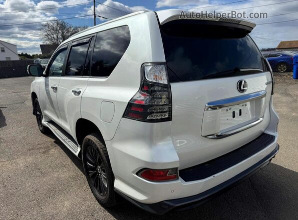 JTJAM7BX0P5340903 2023 LEXUS GX Белый Задняя левая четверть