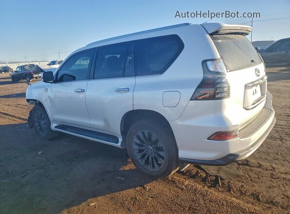 JTJAM7BX1P5352428 2023 LEXUS GX Белый Задняя левая четверть