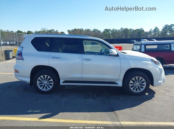 JTJAM7BX3M5284502 2021 LEXUS GX 460 White Widok wnętrza z tyłu