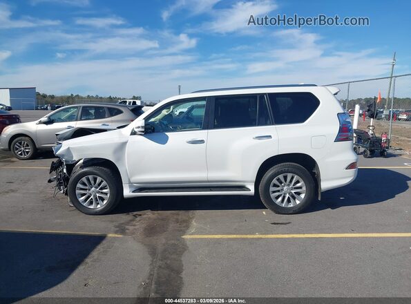 JTJAM7BX3M5284502 2021 LEXUS GX 460 White Widok wnętrza 360 stopni