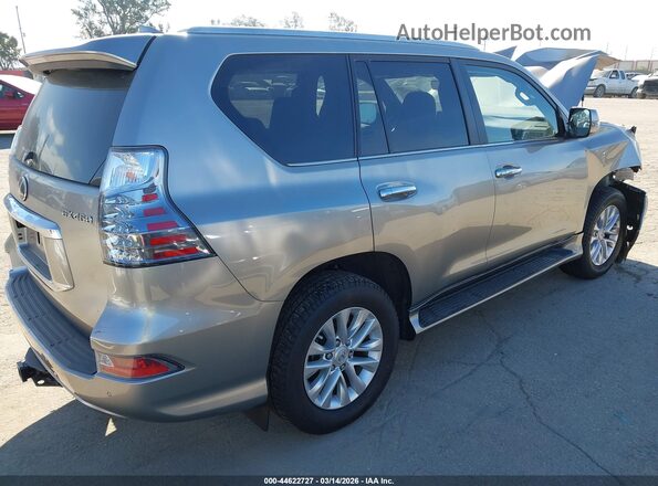 JTJAM7BX3P5384863 2023 LEXUS GX 460 Серый Задняя правая четверть