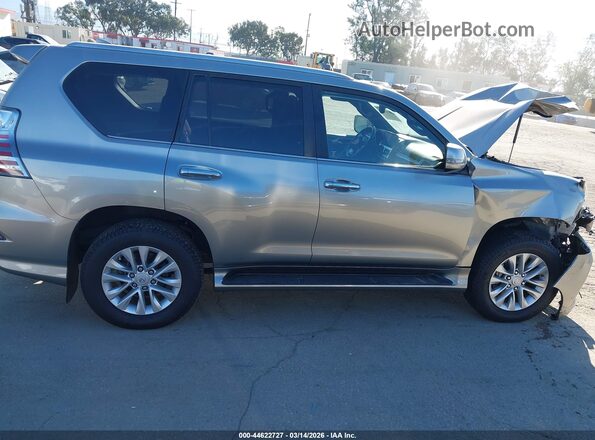 JTJAM7BX3P5384863 2023 LEXUS GX 460 Серый Вид задней части салона