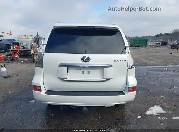 JTJAM7BX4M5273654 2021 LEXUS GX 460 Белый 
