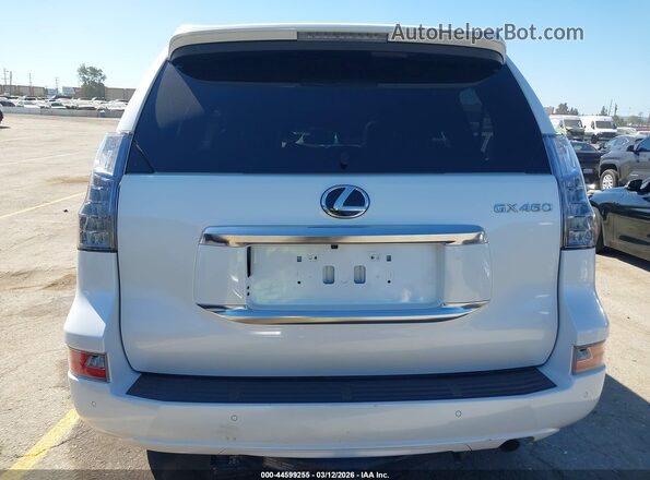 JTJAM7BX4M5291586 2021 LEXUS GX 460 Белый 