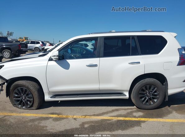 JTJAM7BX4M5291586 2021 LEXUS GX 460 Белый Вид задней части салона