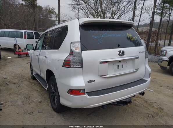 JTJAM7BX5P5384914 2023 LEXUS GX 460 Белый Задняя левая четверть