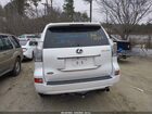 2023 Lexus Gx 460 Premium Белый vin: JTJAM7BX5P5384914