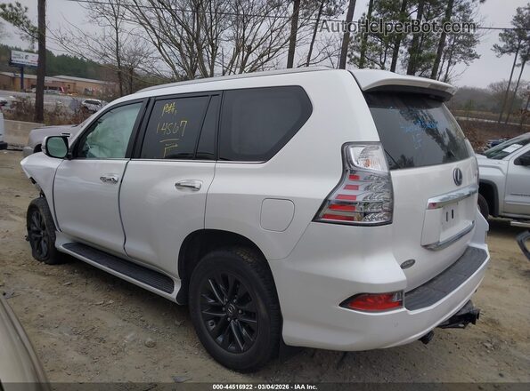 JTJAM7BX5P5384914 2023 LEXUS GX 460 Белый Вид задней части салона